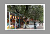 Sarnath01.jpg